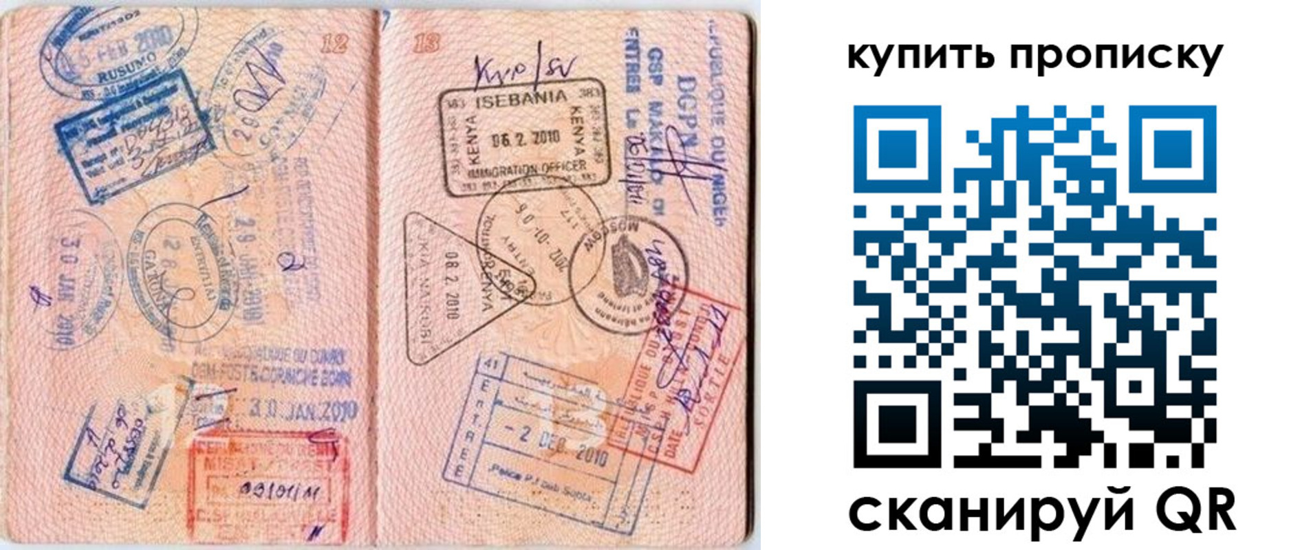 пропишу в квартире в Светлогорске